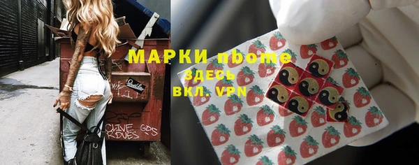 сатива Алзамай
