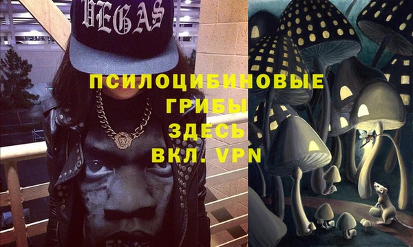 ALPHA PVP Снежинск