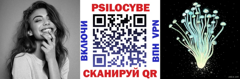 Псилоцибиновые грибы Psilocybe  гидра ссылка  Абинск  где купить наркоту 