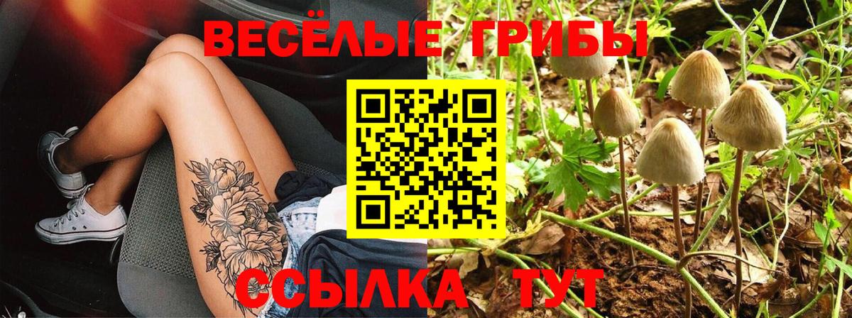Псилоцибиновые грибы ЛСД  Вход с VPN  Абинск 