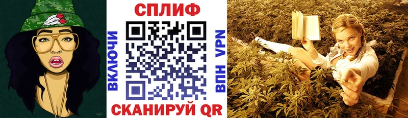 Каннабис планчик  цена   мориарти телеграм  Абинск 